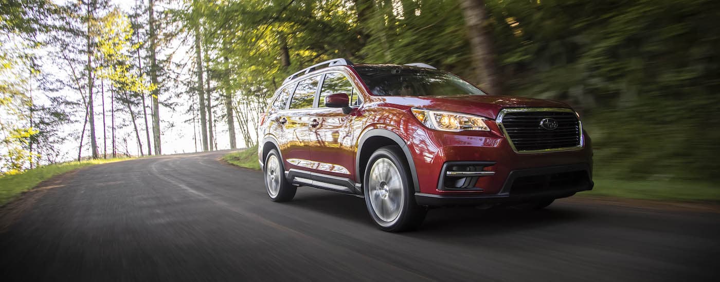 A red 2019 Subaru Ascent Limited is shown driving on a tree lined road.
