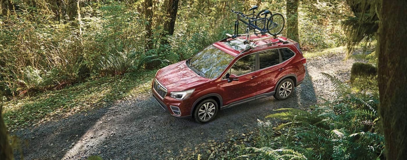 A red 2021 Subaru Forester with bikes on the roof is shown from above on a gravel path in the woods.