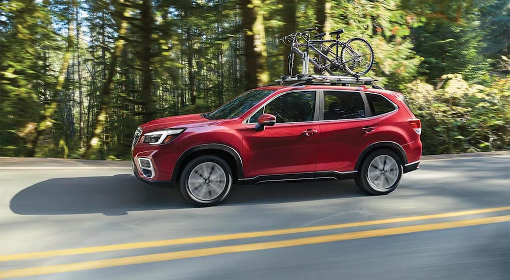 A red 2021 Subaru Forester with bicycles on the roof driving on a tree-lined road.
