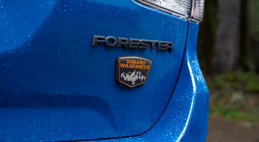 A close up of the badging on the trunk of a blue 2022 Subaru Forester Wilderness.