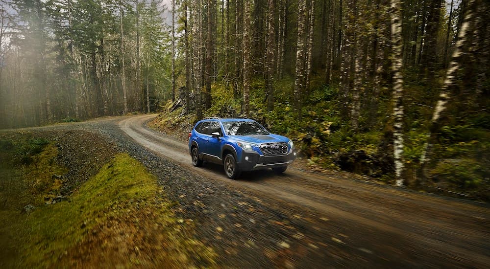 A blue 2022 Subaru Forester Wilderness driving down a wooded path.