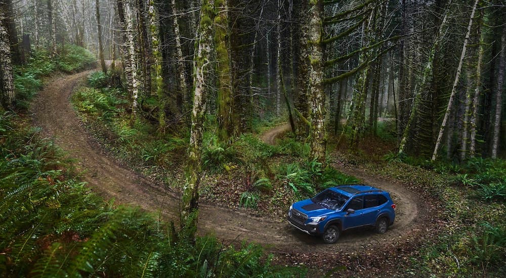 A blue 2022 Subaru Forester Wilderness driving on winding path through the woods.