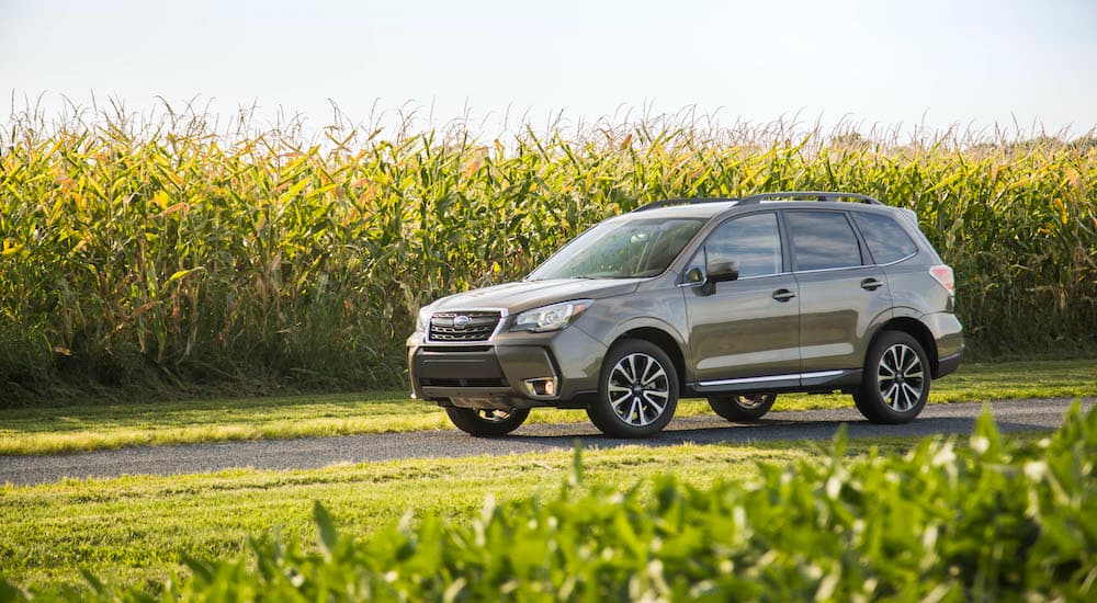 An olive green 2017 Subaru Forester XT is shown parked in front of a corn field.