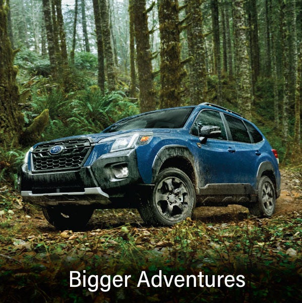 A blue Subaru outback wilderness with the words “Bigger Adventures“. | Williams Subaru in Charlotte NC