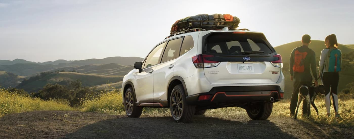 A couple and their dog are standing next to a white 2021 Subaru Forester overlooking mountains after leaving a North Carolina Subaru dealer.