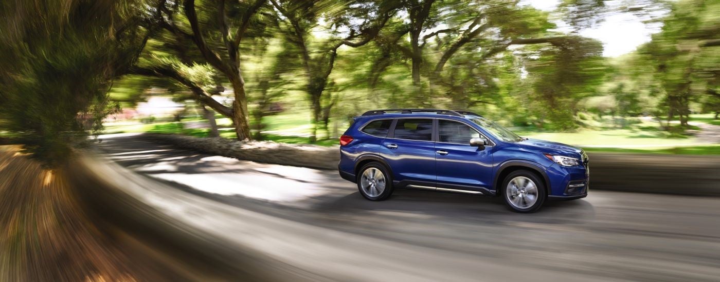A blue 2021 Subaru Ascent is shown driving on a tree-lined road.