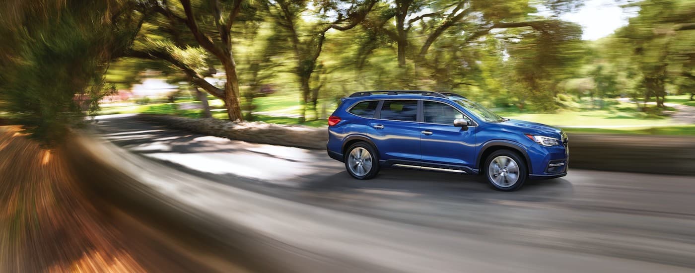 A blue 2019 Subaru Ascent Touring is shown from the side driving on a tree-lined road.